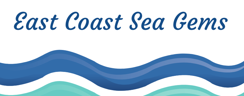 East Coast Sea Gems: An obsession with the Sea